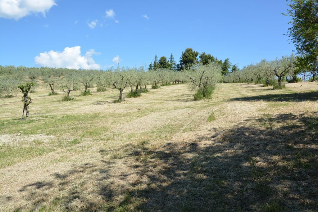 Vila Casale Fusco Spoleto Exteriér fotografie