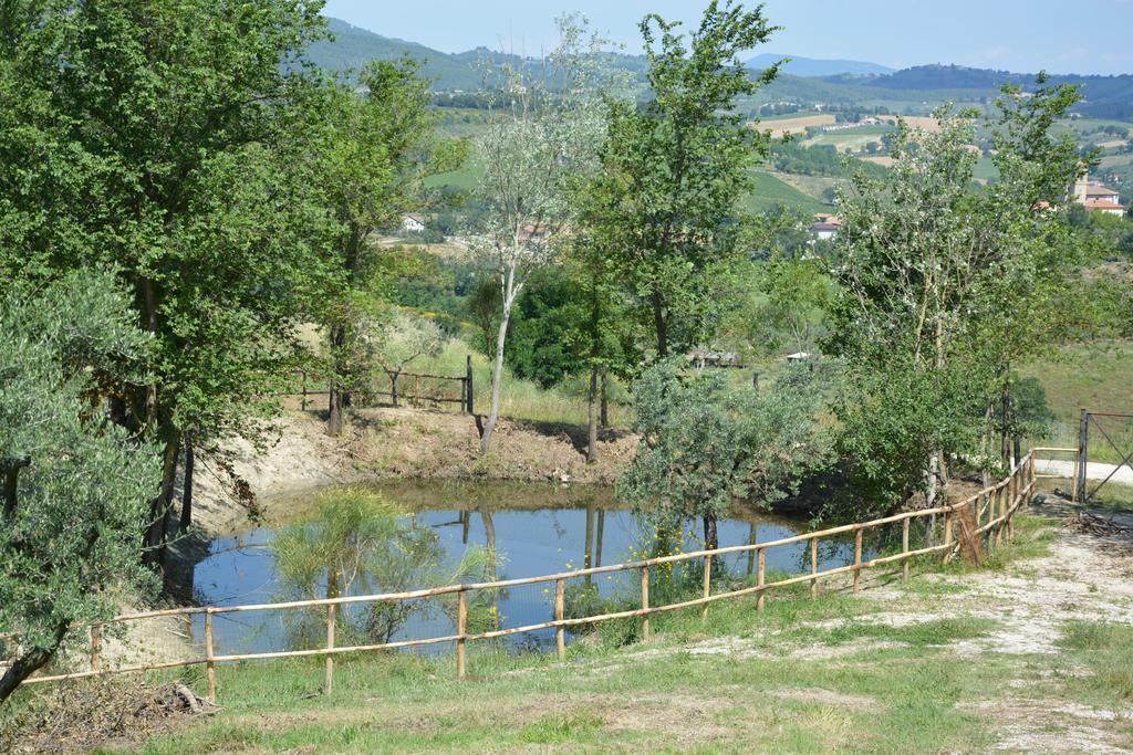 Vila Casale Fusco Spoleto Exteriér fotografie